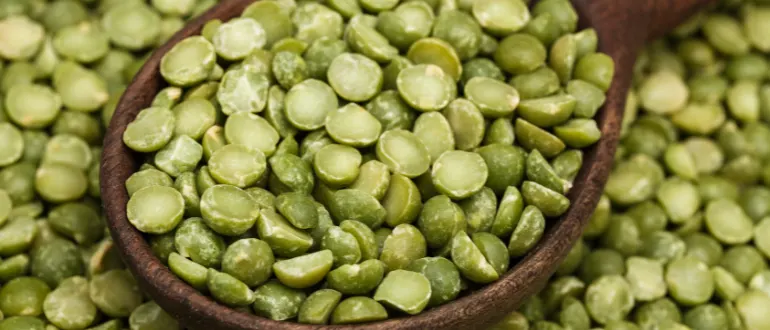 Dried Peas